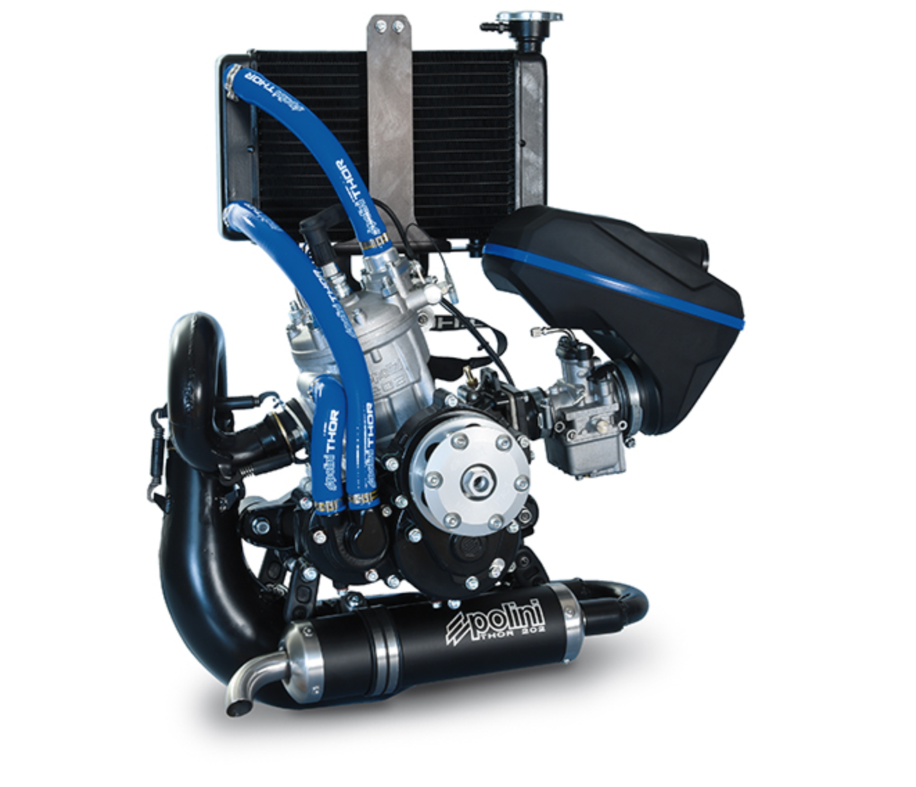 POLINI THOR 202