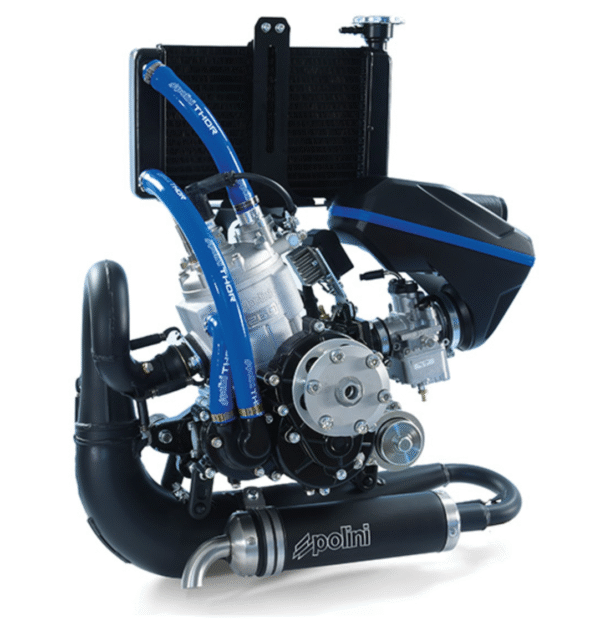 POLINI - THOR 260