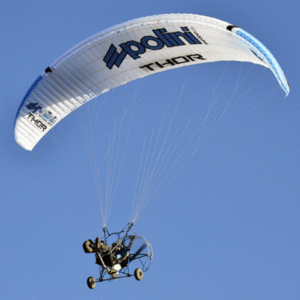 POLINI - THOR 260 - Image 6