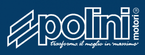 logo polini
